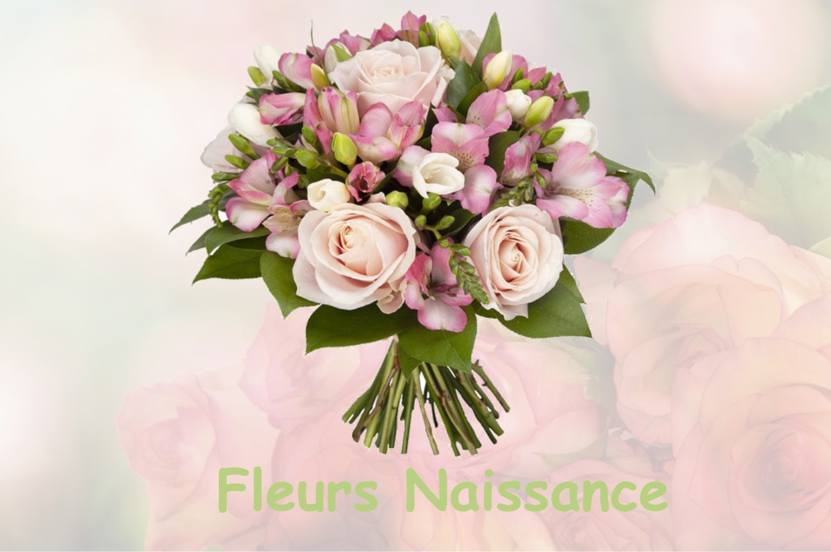 fleurs naissance NAMPCELLES-LA-COUR